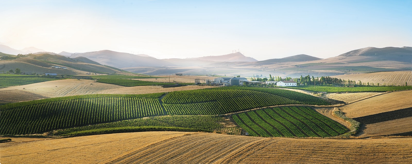 PHOTO-2024-11-22-10-03-39 (4).jpg - 